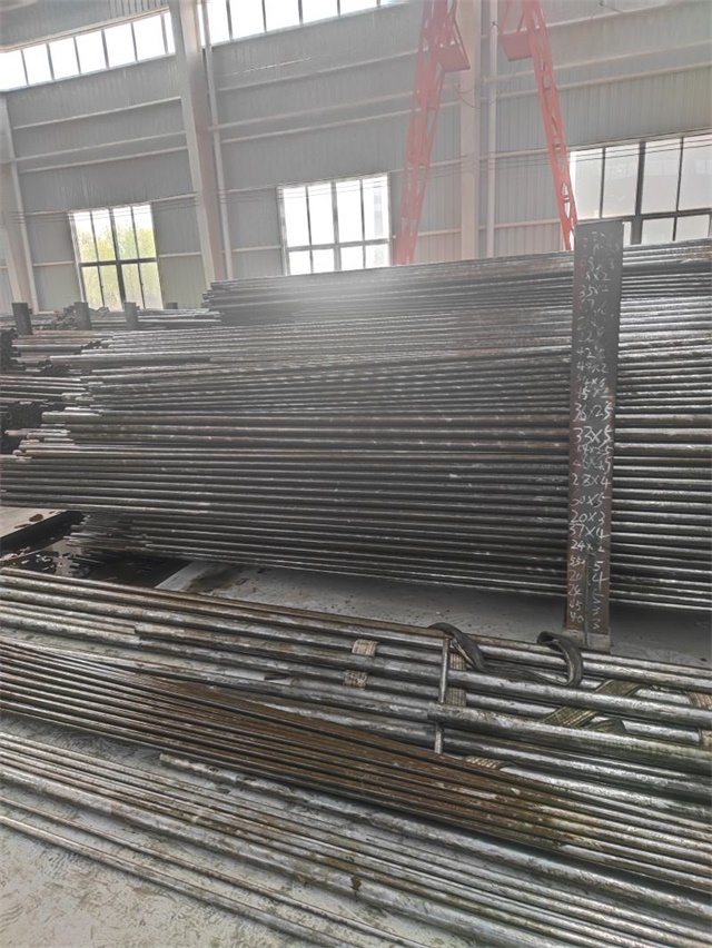 IMG_20230401_143306.jpg IMG_20230401_143306.jpg