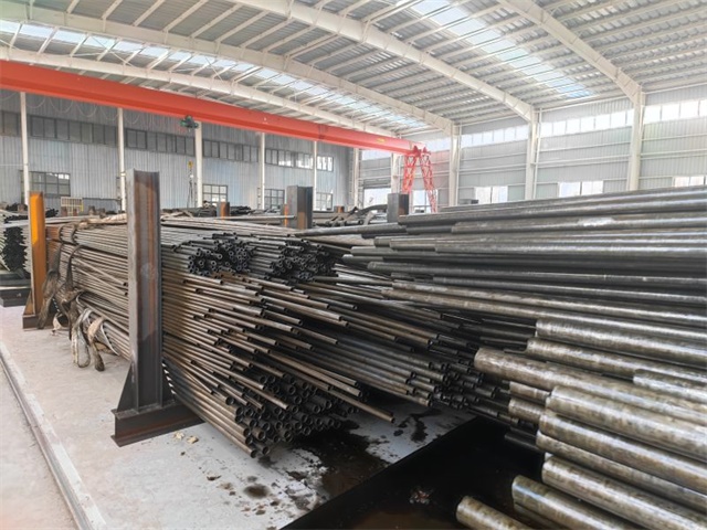 IMG_20230401_103048.jpg IMG_20230401_103048.jpg