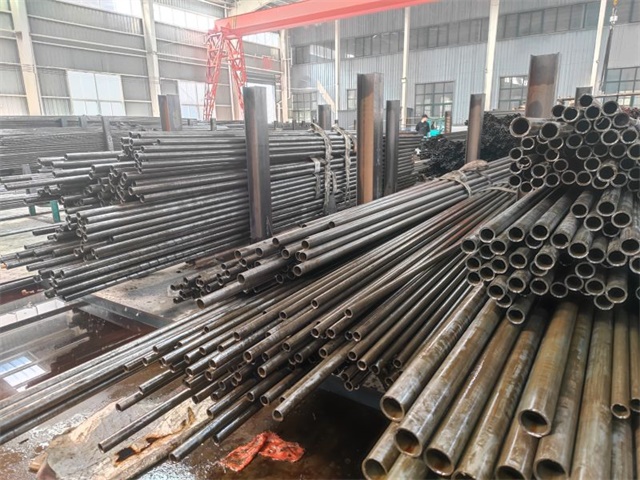 IMG_20230401_144014.jpg IMG_20230401_144014.jpg